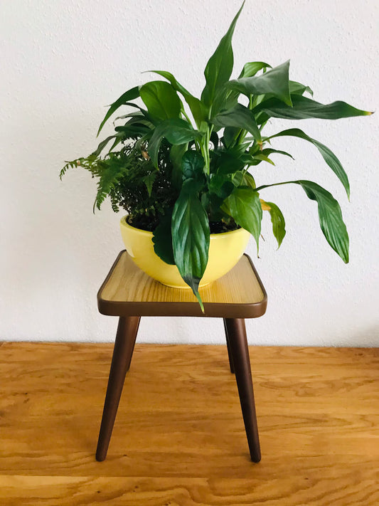 A kidney table / flower stool from the 70s